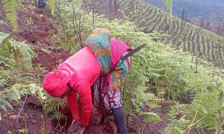 Tanzania group started with five  participants