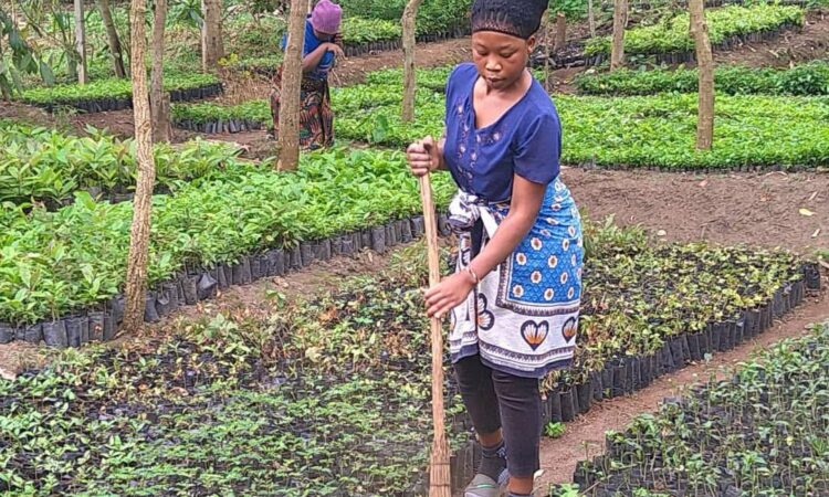 Tanzania second group started