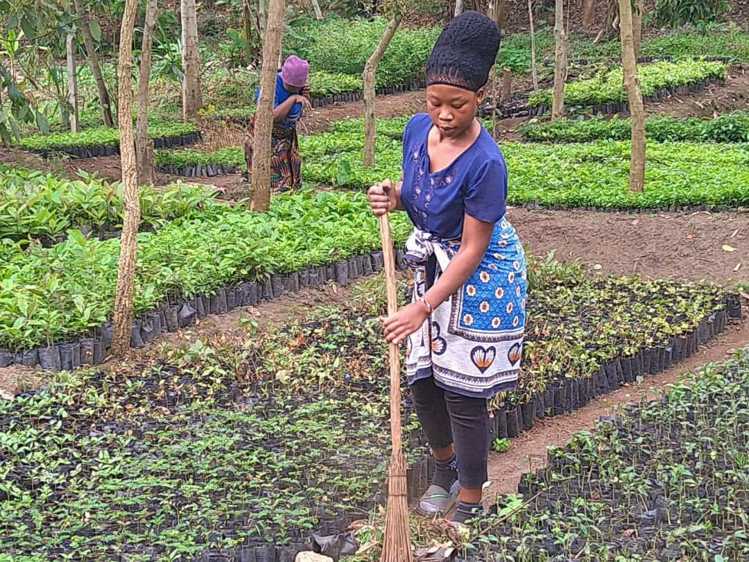 Tanzania second group started